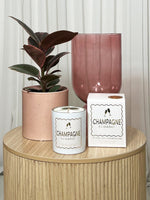 Champagne S'il Vous Plait Candle - Gold